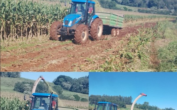 Programa Municipal de subsídio na silagem benéfica produtores de leite