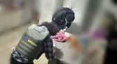 PCPR cumpre mandados de busca e apreensão contra suspeito de pedofilia
