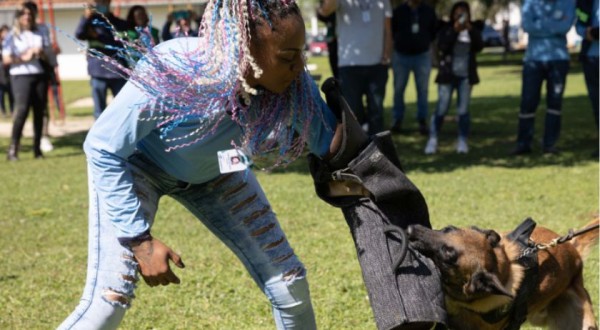 Ataque de cães é principal causa de acidente de trabalho dos leituristas da Sanepar