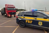 PRF apreende carreta com 400 mil maços de cigarros paraguaios