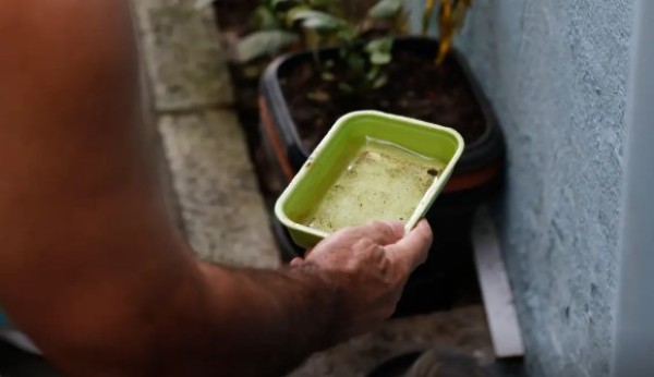 El Niño pode aumentar casos de chikungunya e dengue no Brasil