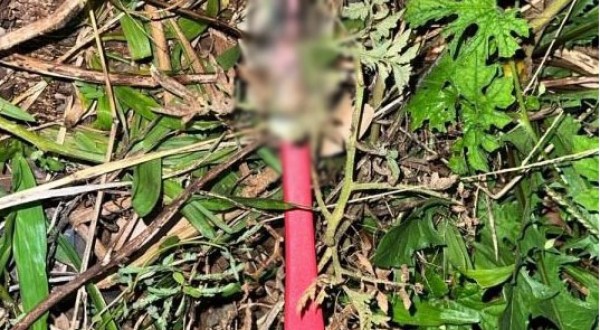 Homem é esfaqueado no peito após discussão