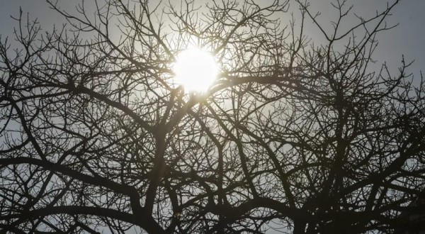 Massa de ar seco mantém o tempo firme e eleva as temperaturas ao longo da semana