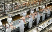 Agro de SC alcança valor de R$ 61 bilhões em 2022 e responde por 64,4% das exportações
