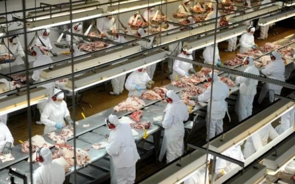 Agro de SC alcança valor de R$ 61 bilhões em 2022 e responde por 64,4% das exportações