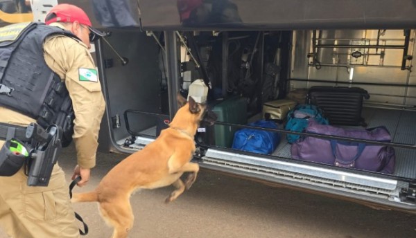 Três operações superam 900 presos e apreendem 27 toneladas de drogas