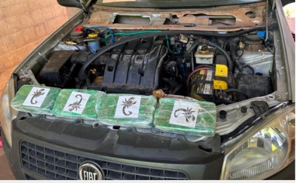 PRF localiza cocaína escondida em picape clonada na BR-282