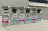 Vacina da dengue tem lista de espera de até 2 mil pessoas na rede privada de SC