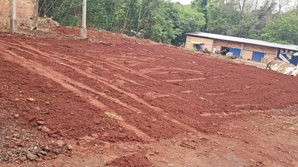 Município prepara horta municipal em parceria com escolas