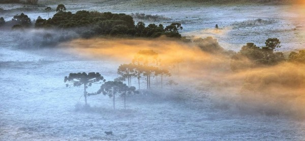 Frio intenso pinta a Serra catarinense de branco com temperaturas negativas