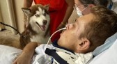 Paciente internado recebe visita do cão de estimação, se emociona e melhora!