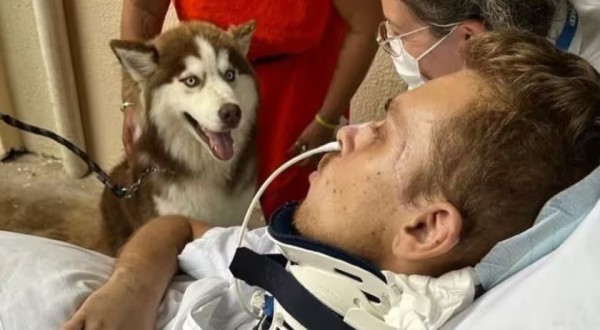 Paciente internado recebe visita do cão de estimação, se emociona e melhora!