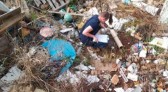 Sobe para 40 o número de focos do mosquito Aedes Aegypti em Maravilha