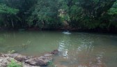Menino de 12 anos morre afogado em rio no interior de Vargem