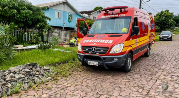 Trabalhador despenca de árvore enquanto fazia poda