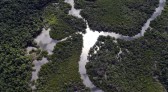 Inpe: taxa de desmatamento na Amazônia cai 22%