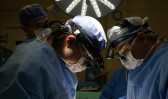 SC registra 26 doadores efetivos de órgãos por mês em 2024