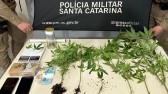 Homem que mantinha laboratório clandestino de drogas é preso