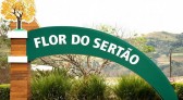 Flor do Sertão é a única cidade de Santa Catarina sem mortes por Covid-19