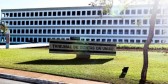 TCU suspende licitação de R$ 1,4 bilhão da Fiocruz