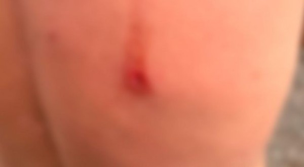 Homem é preso por tentativa de homicídio, desacato e dano ao patrimônio público