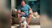 Jovem é preso após invadir casa de vizinho e esfaquear 3 cachorros em SC