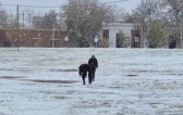 Onda de frio atinge Argentina com nevascas e termômetros abaixo de -18ºC