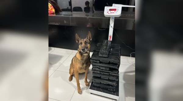 Passageira acompanhada de criança de cinco anos é presa com grande quantidade de maconha em ônibus na PR-483