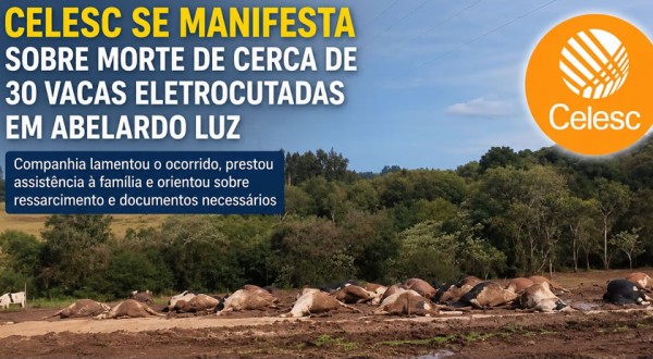 Companhia elétrica de Santa Catarina se manifesta sobre caso de animais mortos