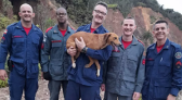 Cachorro preso em penhasco mobiliza equipe de resgate dos bombeiros