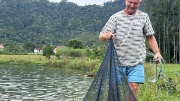 Produção de tilápia cresce em SC aliada a estudos de DNA e peixe se torna queridinho da Quaresma