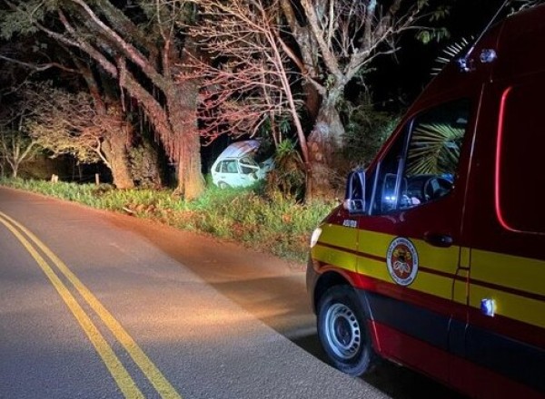Carro sai da pista na rodovia entre São José do Cedro e Princesa