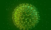 Sociedade de Infectologia pede reforço da vigilância sobre Covid-19