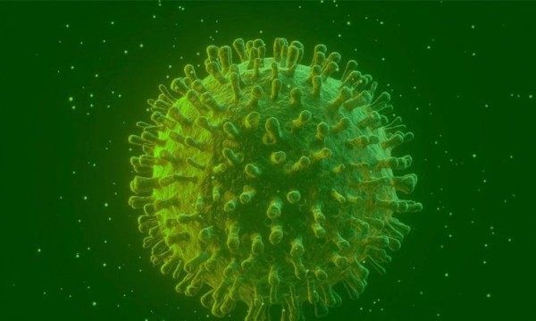 Sociedade de Infectologia pede reforço da vigilância sobre Covid-19