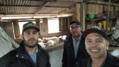 Programa de incentivo à criação de ovinos e caprinos avança com ações técnicas