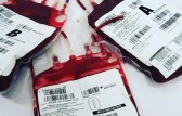 Hemosc lança campanha “Projeto Empresa Solidária” para incentivar a doação de sangue