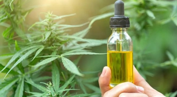 Após liberação, primeira importação de cannabis medicinal já tem data para chegar ao estado