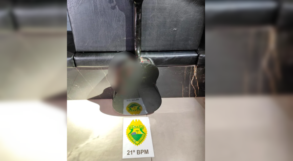 Mulher é espancada com violão e pedras; agressor é preso