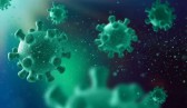 Europa fecha fronteiras após surto de vírus altamente contagioso