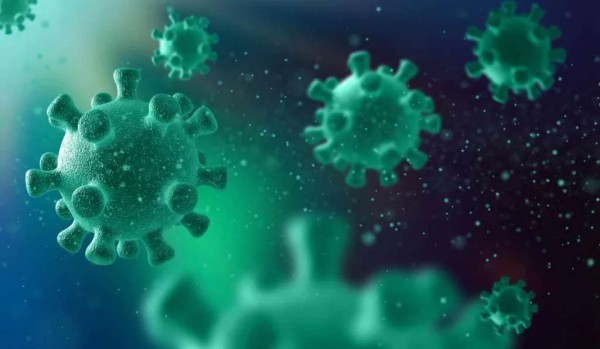 Europa fecha fronteiras após surto de vírus altamente contagioso
