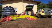 ROTAM apreende quase 140 quilos de maconha em Flor da Serra do Sul