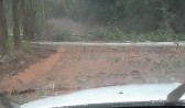 Temporal causa quedas de árvores e alagamentos