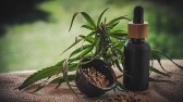 Anvisa autoriza três novos produtos derivados de Cannabis