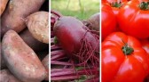 Veja os 10 alimentos que ficaram mais caros em SC no último mês
