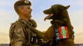 Depois de oito anos de serviços prestados, o cão de faro Axel, foi aposentado