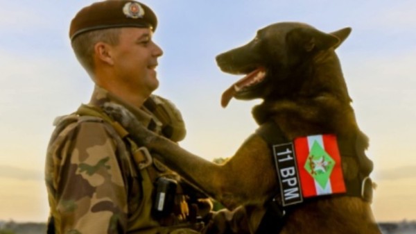 Depois de oito anos de serviços prestados, o cão de faro Axel, foi aposentado