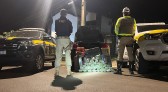 Policiais apreendem aproximadamente 100 kg de maconha na BR-282