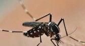 Chapecó decreta situação de emergência diante de epidemia de dengue no município