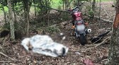 Jovem morre em saída de pista seguida de queda de moto na PR 182