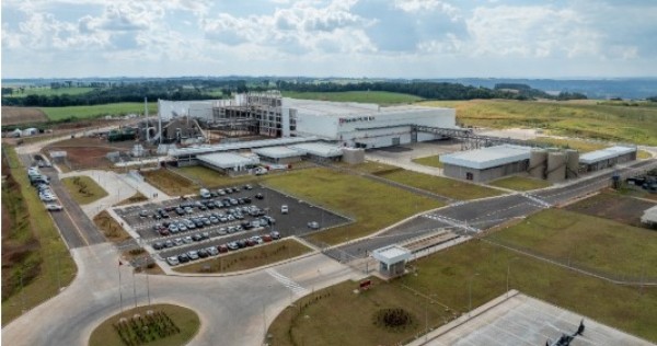 Nestlé Purina faz cerca de 1,5 mil análises em cada lote, que demora de 3 a 4 horas para ser produzido